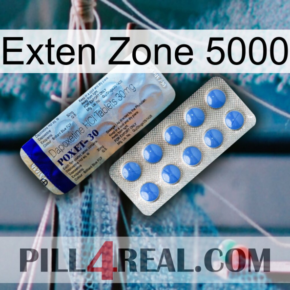 Exten Zone 5000 39.jpg